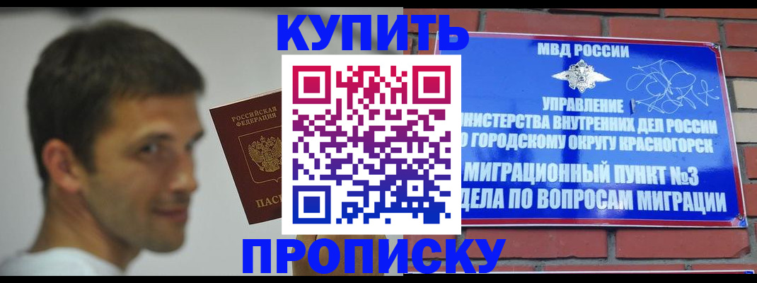 временная регистрация 2025 в Новгородской области