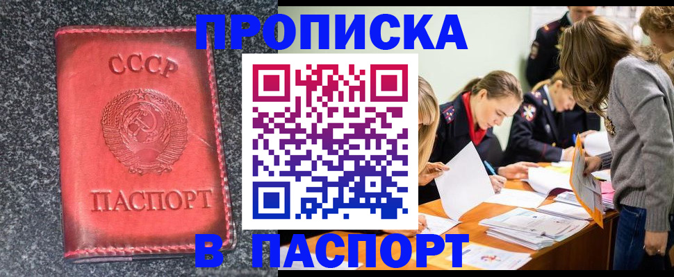 прописка для школы в Новгородской области